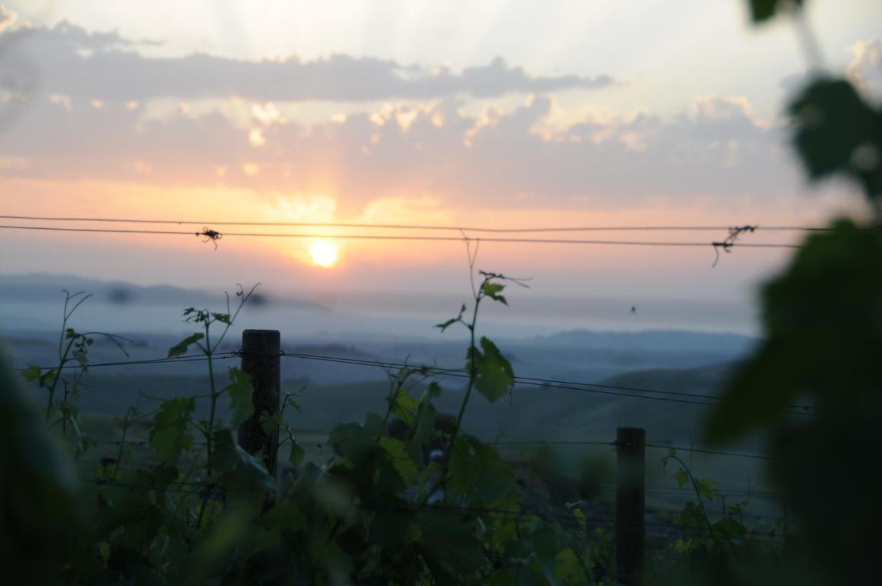 Agriturismo Podere Marcampo Volterra Ngoại thất bức ảnh