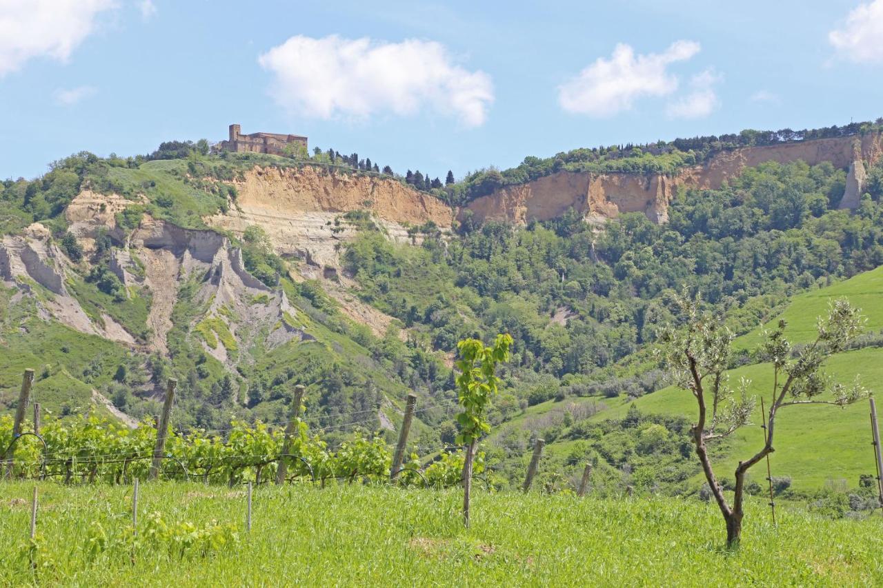 Agriturismo Podere Marcampo Volterra Ngoại thất bức ảnh